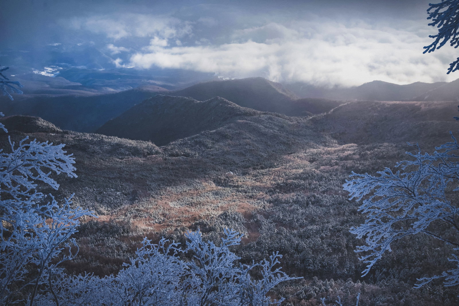 冬の北八ヶ岳・中山天狗岳分岐の道標と雪景色