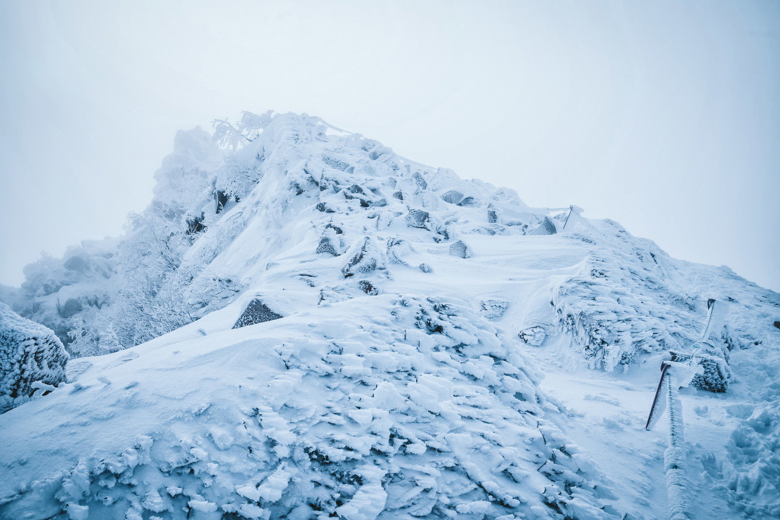 雪に覆われた東天狗岳の山頂付近、樹氷が白く輝く厳冬期の山岳風景