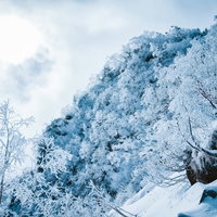 樹氷と雲海が広がる冬山の白銀の景色の写真