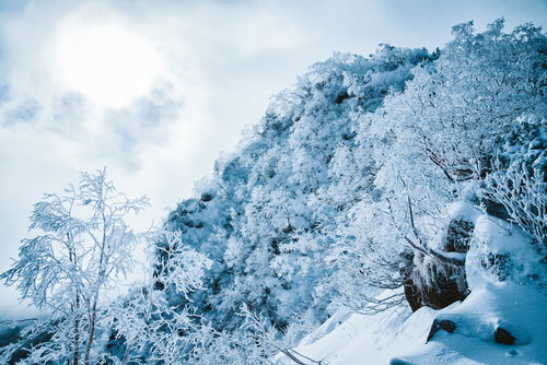 樹氷と雲海が広がる冬山の白銀の景色