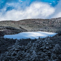 白く凍てついた厳冬期の白駒池の雪景色と針葉樹林の写真