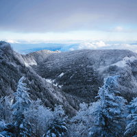白銀に染まる樹氷の森、北八ヶ岳の厳冬景色の写真
