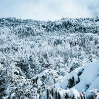 一面に広がる樹氷の森の冬景色、雪に包まれた山岳風景の写真