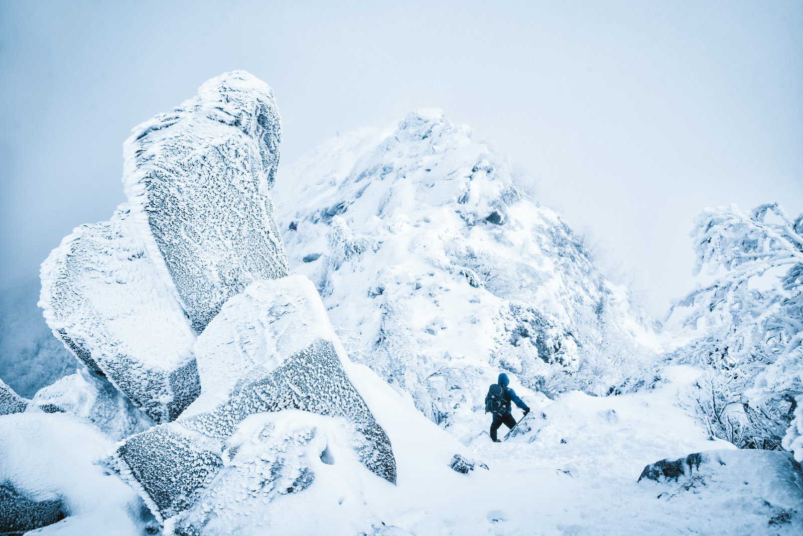 雪に覆われた天狗岳の稜線で吹雪の中を歩く登山者
