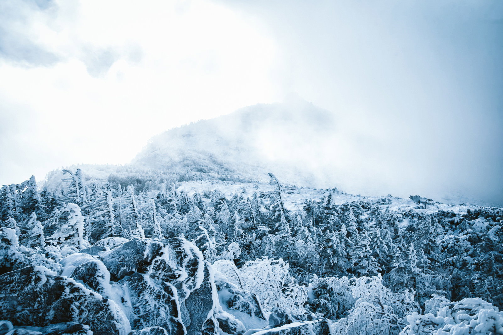 雲に覆われた雪化粧の天狗岳と樹氷に包まれた針葉樹林の冬景色