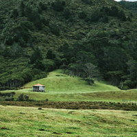 麓にひっそりと立つ小屋、ニュージーランドの草原風景の写真