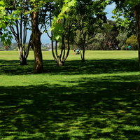 コーンウォール・パークの広大な草原（ニュージーランド）の写真