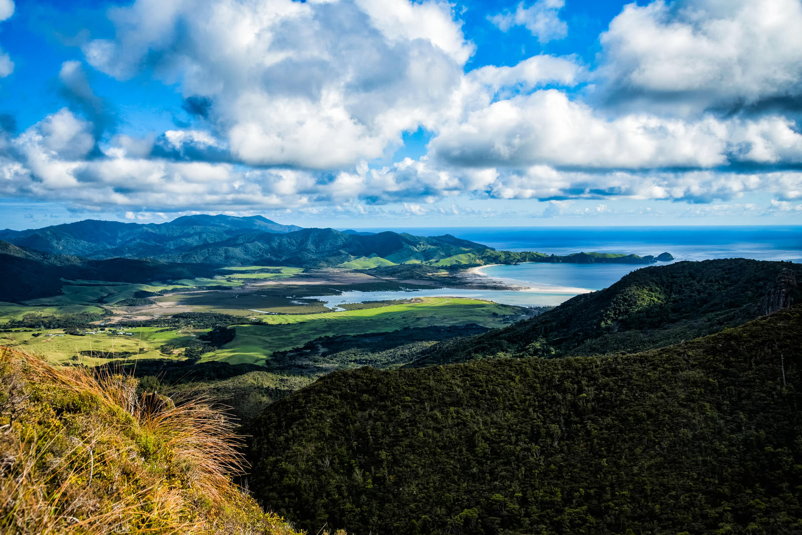アオテアの高台から見下ろすニュージーランドの美しいビーチと山々の景色