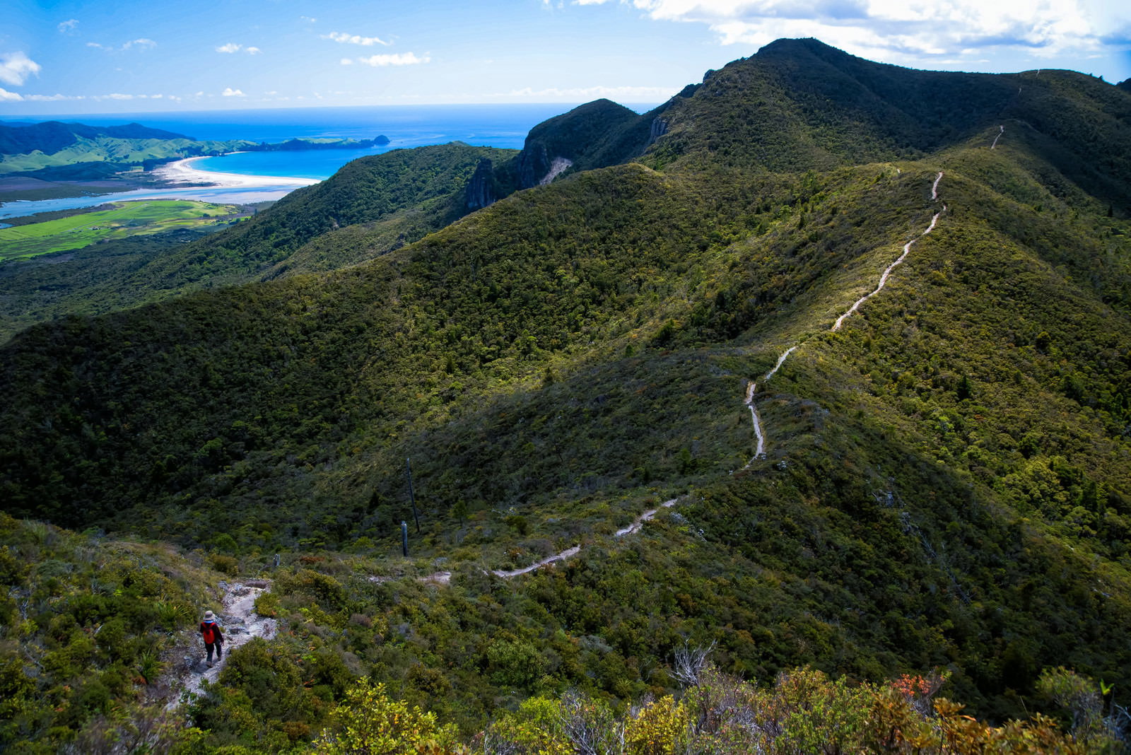 ニュージーランドのアオテアトレック稜線を歩く登山者と青い海の絶景