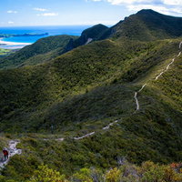 ニュージーランドのアオテアトレック稜線を歩く登山者の写真