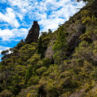 ウィンディキャニオンに聳え立つ巨岩と険しい岩壁（ニュージーランド）の写真