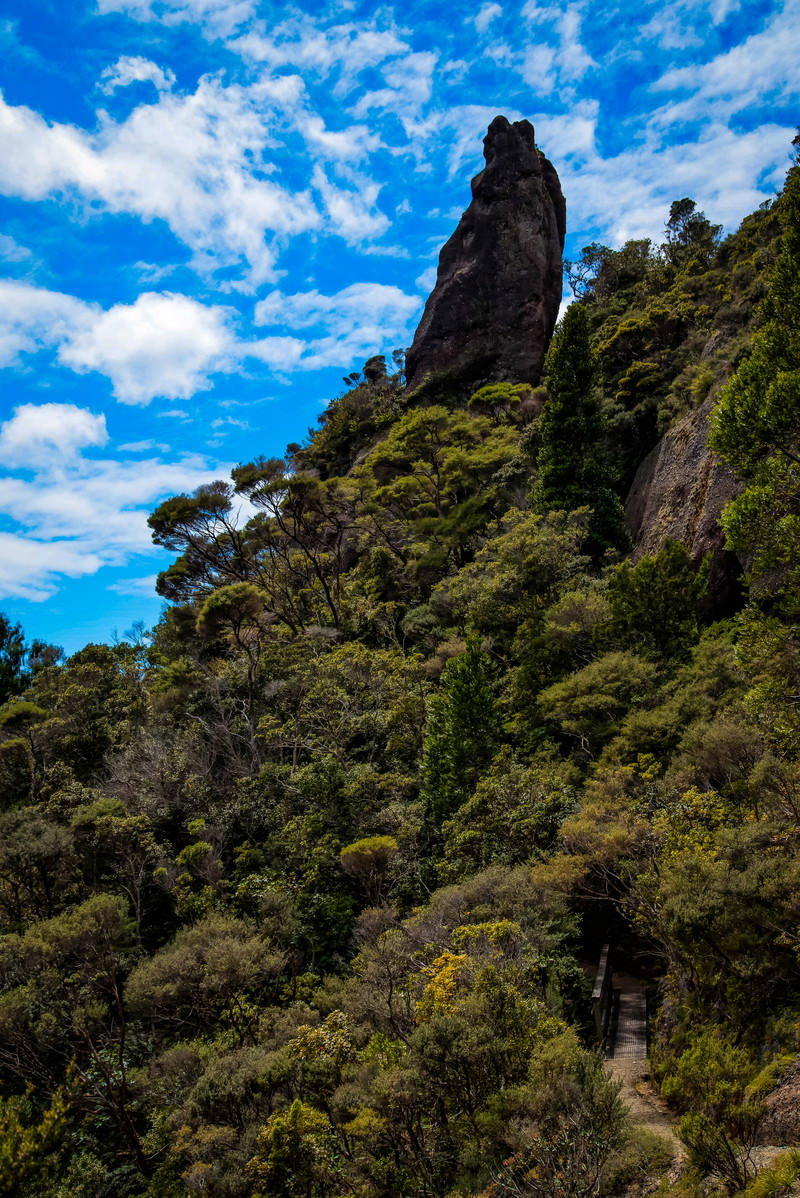 青空の下、緑の植生に覆われた巨大な岩壁を登山道から見上げた風景