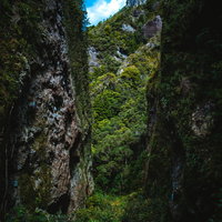 ウィンディキャニオンの岩壁沿いを続く木製階段の登山道（ニュージーランド）の写真