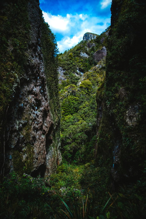 ウィンディキャニオンの岩壁沿いを続く木製階段の登山道（ニュージーランド）