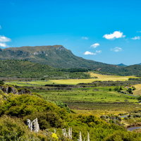 ニュージーランド・グレートバリア島の丘陵地帯と森林の自然風景の写真