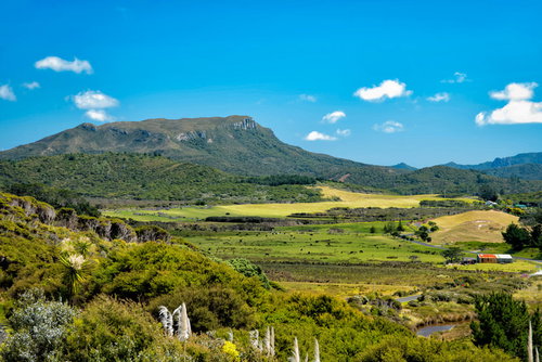 ニュージーランド・グレートバリア島の丘陵地帯と森林の自然風景