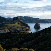 グレートバリア島の海岸沿いからの眺め、ニュージーランドの写真