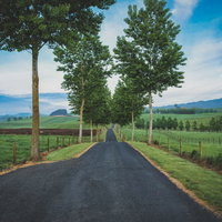 ニュージーランド郊外の果てしなく続く道路と広大な草原の写真