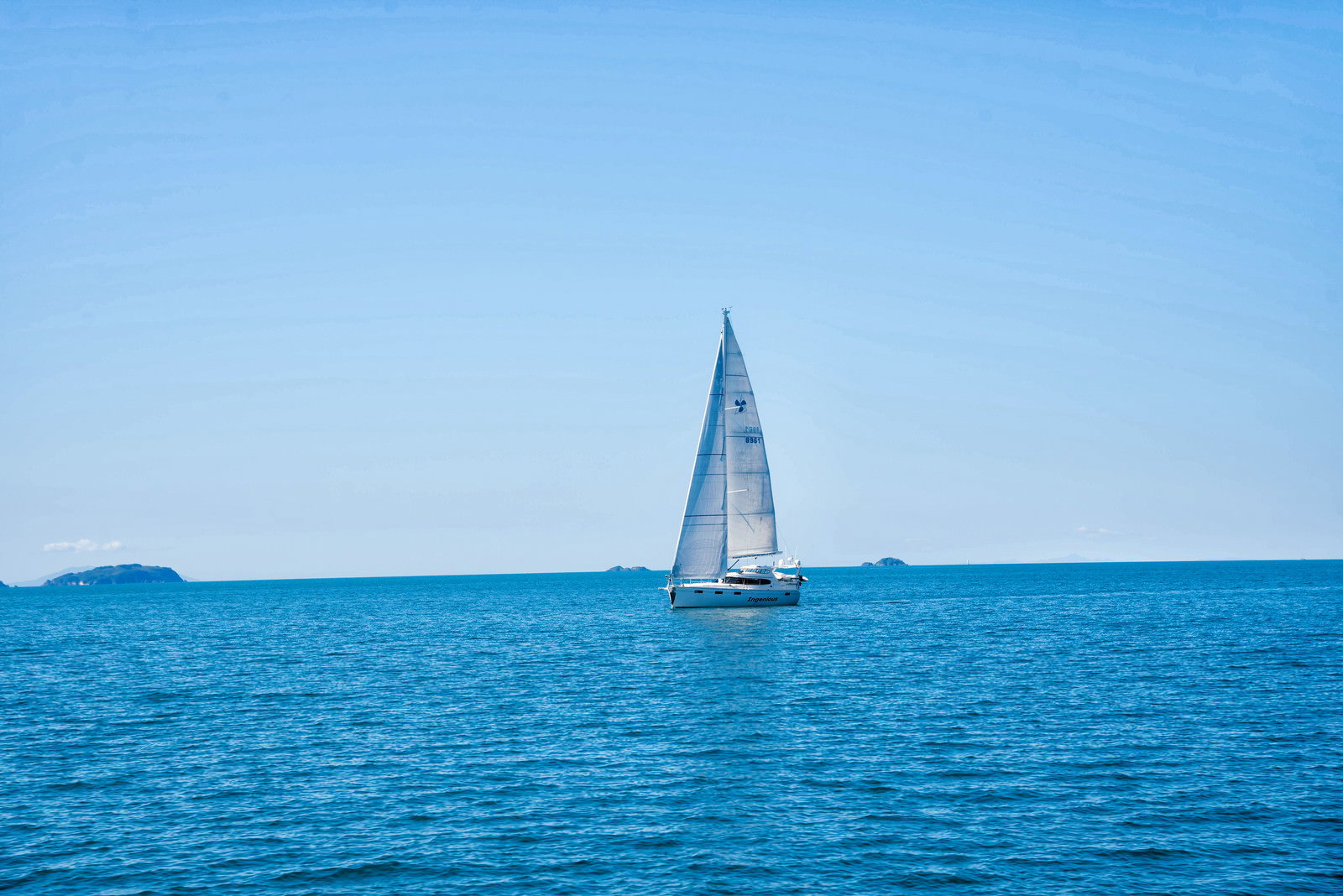 青い海と空の下、白い帆を広げてハウラキ湾を航行するヨット