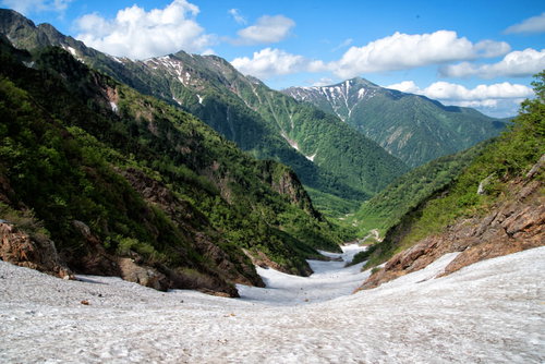 新緑期の針ノ木岳に残る針ノ木大雪渓と登山者の風景