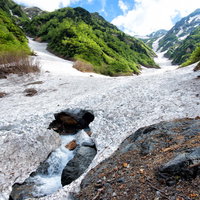 雪解けの針ノ木大雪渓から流れ出る川と新緑の山肌の写真