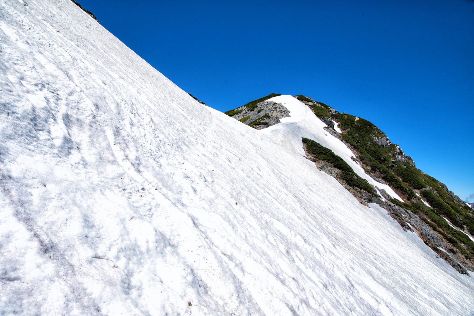 青空の下、針ノ木岳山頂直下の白い残雪が急斜面に広がる光景