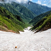 新緑に包まれた針ノ木大雪渓（日本三大雪渓）の写真