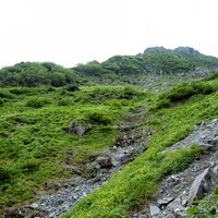 北穂高南陵への取り付き地点の岩場と高山植物の写真