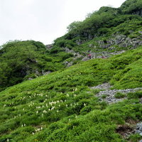 北穂高南陵の岩場へ取り付く登山者の登行風景の写真