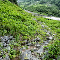 北穂高岳山頂へ向かう岩場の登山道と高山植物の写真