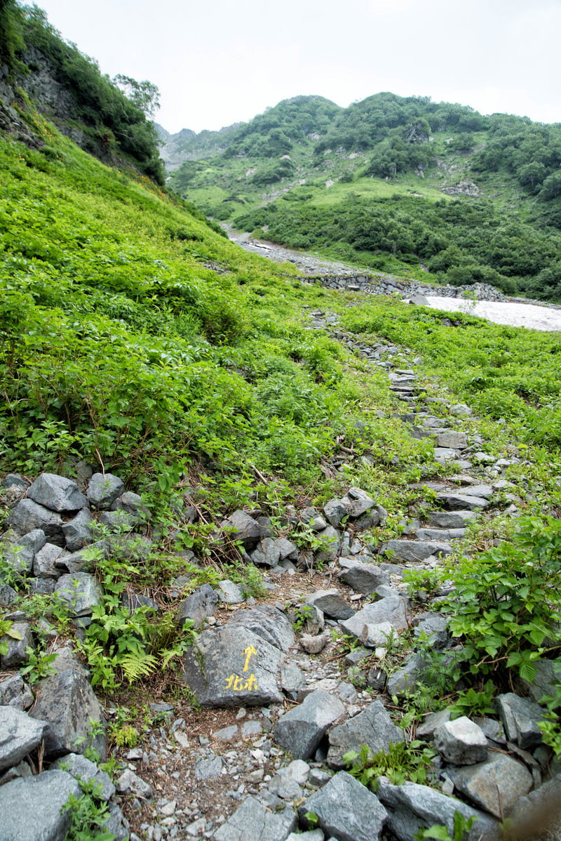 北穂高岳山頂へ向かう岩場の登山道と緑の植物