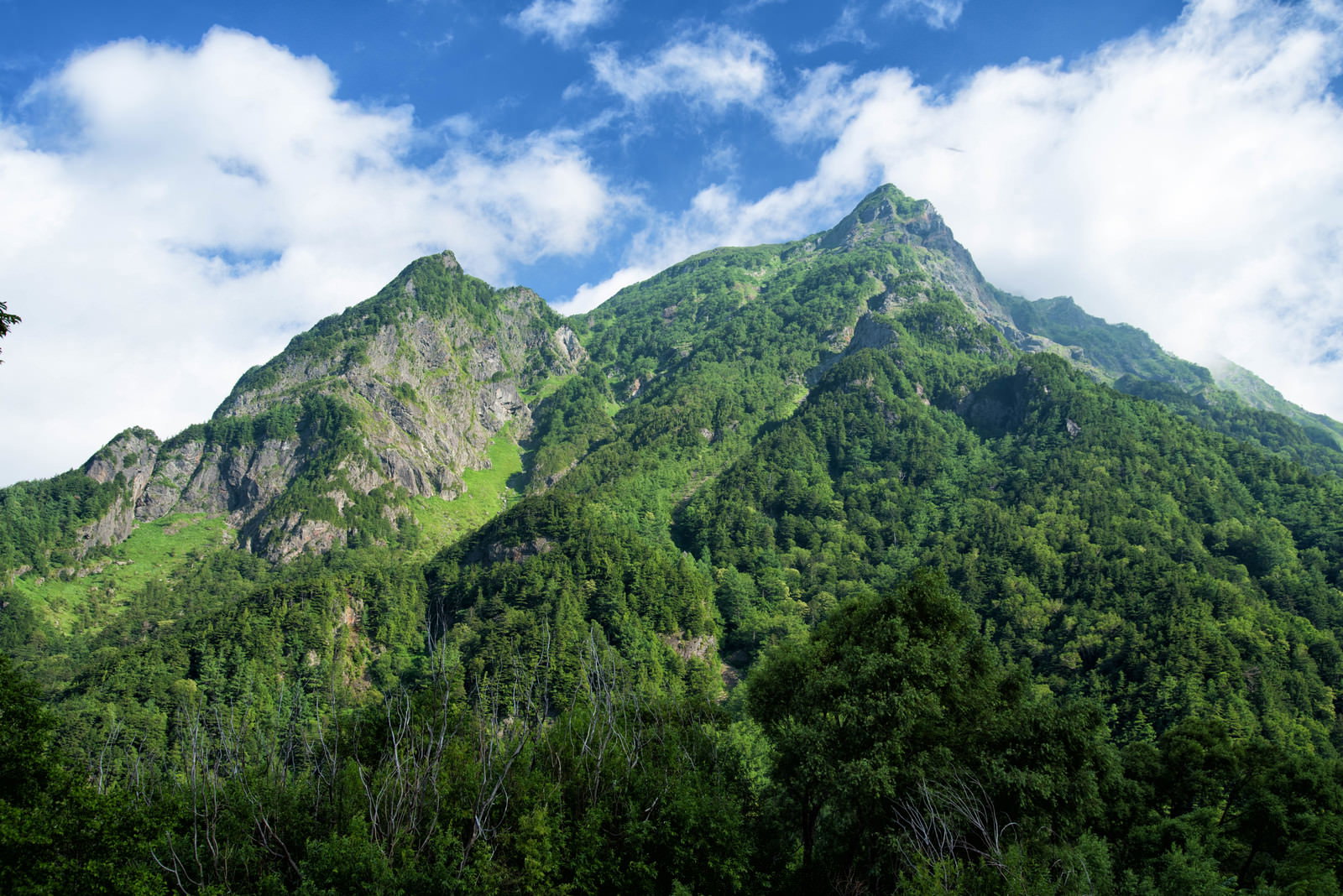 新緑の森林に覆われた山脈と白い雲が浮かぶ青空の自然風景