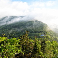 霧に包まれた八ヶ岳の森と本沢温泉の登山道の写真