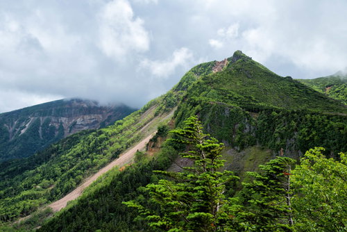 新緑に覆われた東天狗岳と曇り空（八ヶ岳連峰）