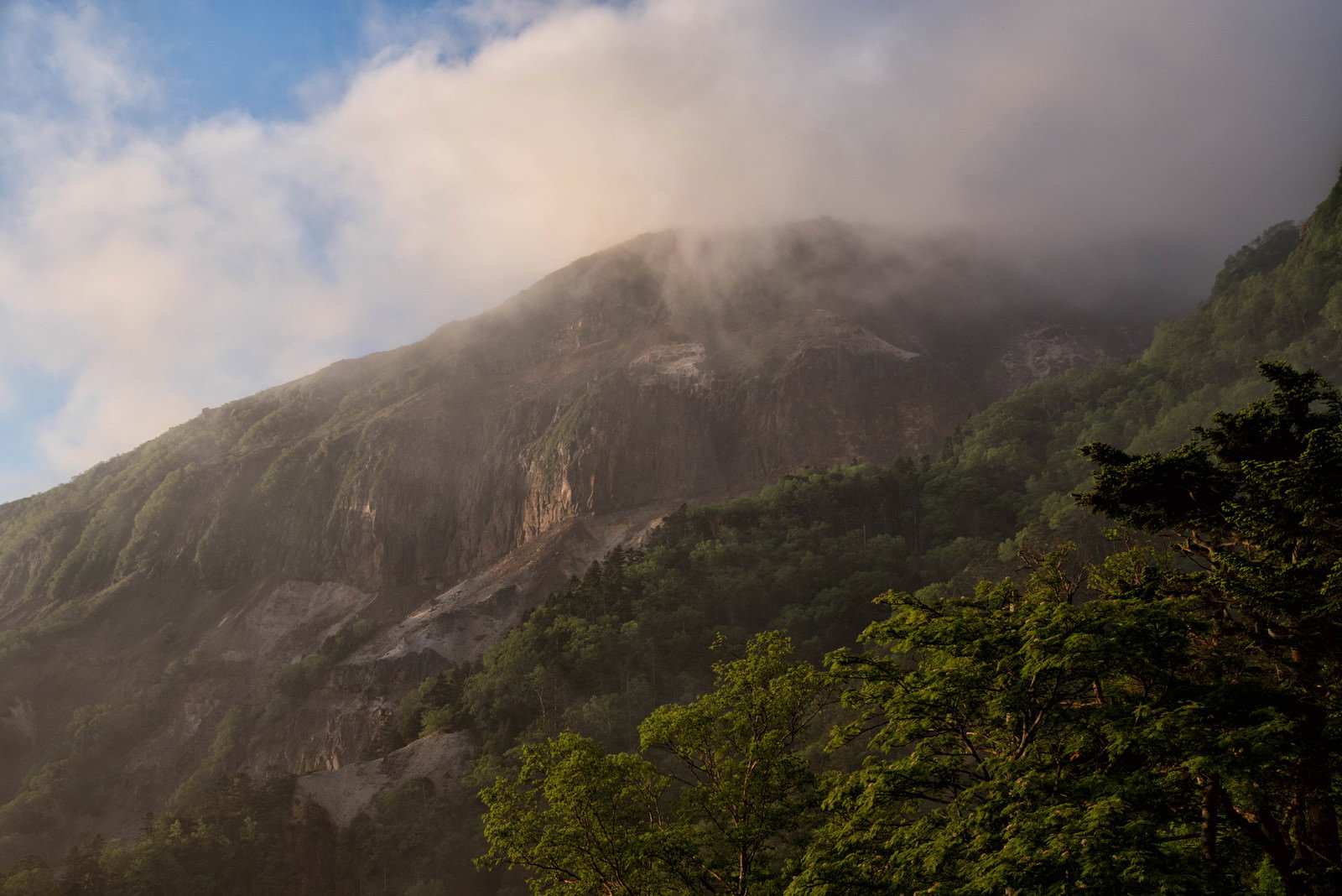 朝靄に包まれた八ヶ岳の硫黄岳と緑の森林が写る山岳風景