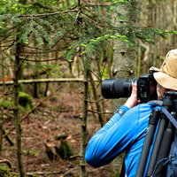 森の中で撮影する山岳カメラマンの男性がカメラを構える風景の写真