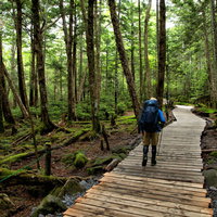 整備された森の木道を散策する登山者の山歩きの写真