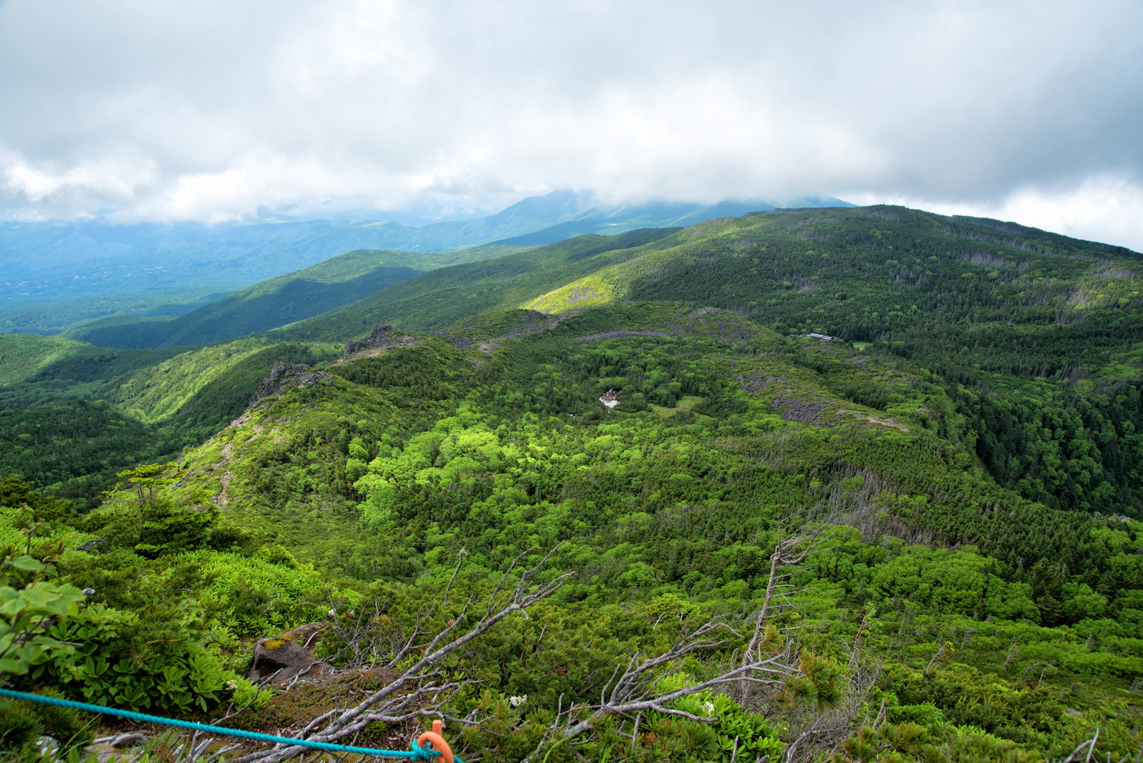東天狗岳山頂から見下ろした緑豊かな北八ヶ岳の森林と連なる山々