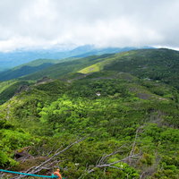 東天狗岳山頂から俯瞰した北八ヶ岳の森林風景の写真