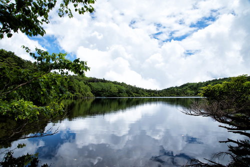水面に映る積雲と夏の白駒池、八千穂高原の自然風景