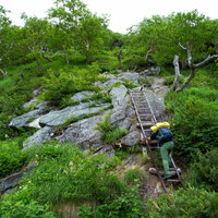 重太郎新道の梯子場に挑む登山者の登り方と安全装備の写真