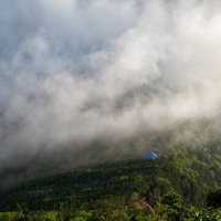 雲に飲み込まれる本沢温泉の森の山道風景と湿った空気感の写真