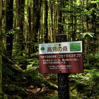 高見の森の木製看板と指導標、登山道の案内標識の写真