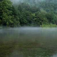 雨降る明神池の水面に立ち上る霧と深緑の森の写真