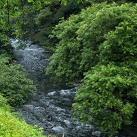 新緑の木々に囲まれた島々谷の清流と渓谷の自然風景の写真