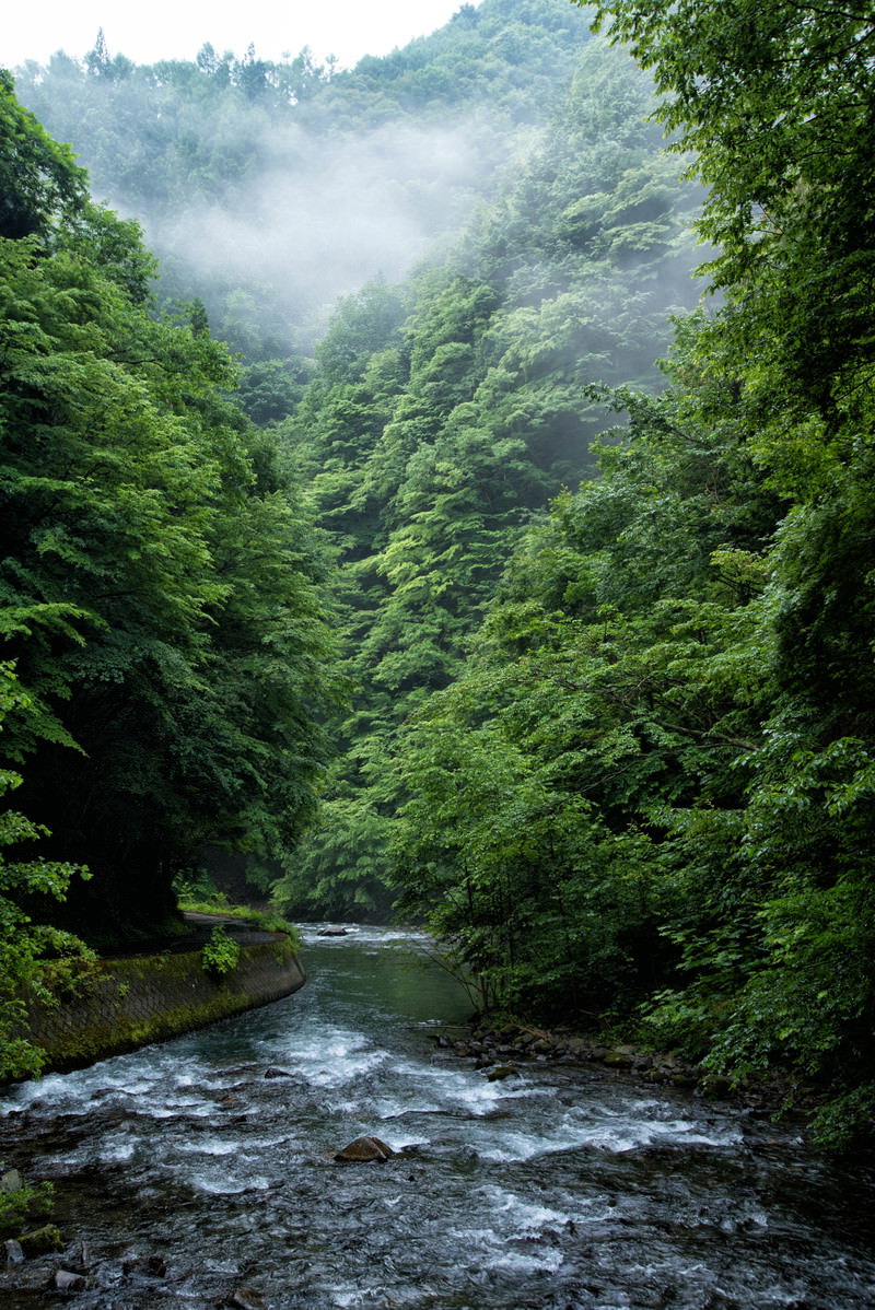 霧がかかった山間の渓谷を流れる急流