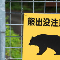金網フェンスに設置された熊出没注意の黄色い警告板の写真