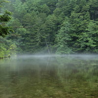 霧がかる明神池のリフレクション、上高地の水鏡に映る北アルプスの森の写真