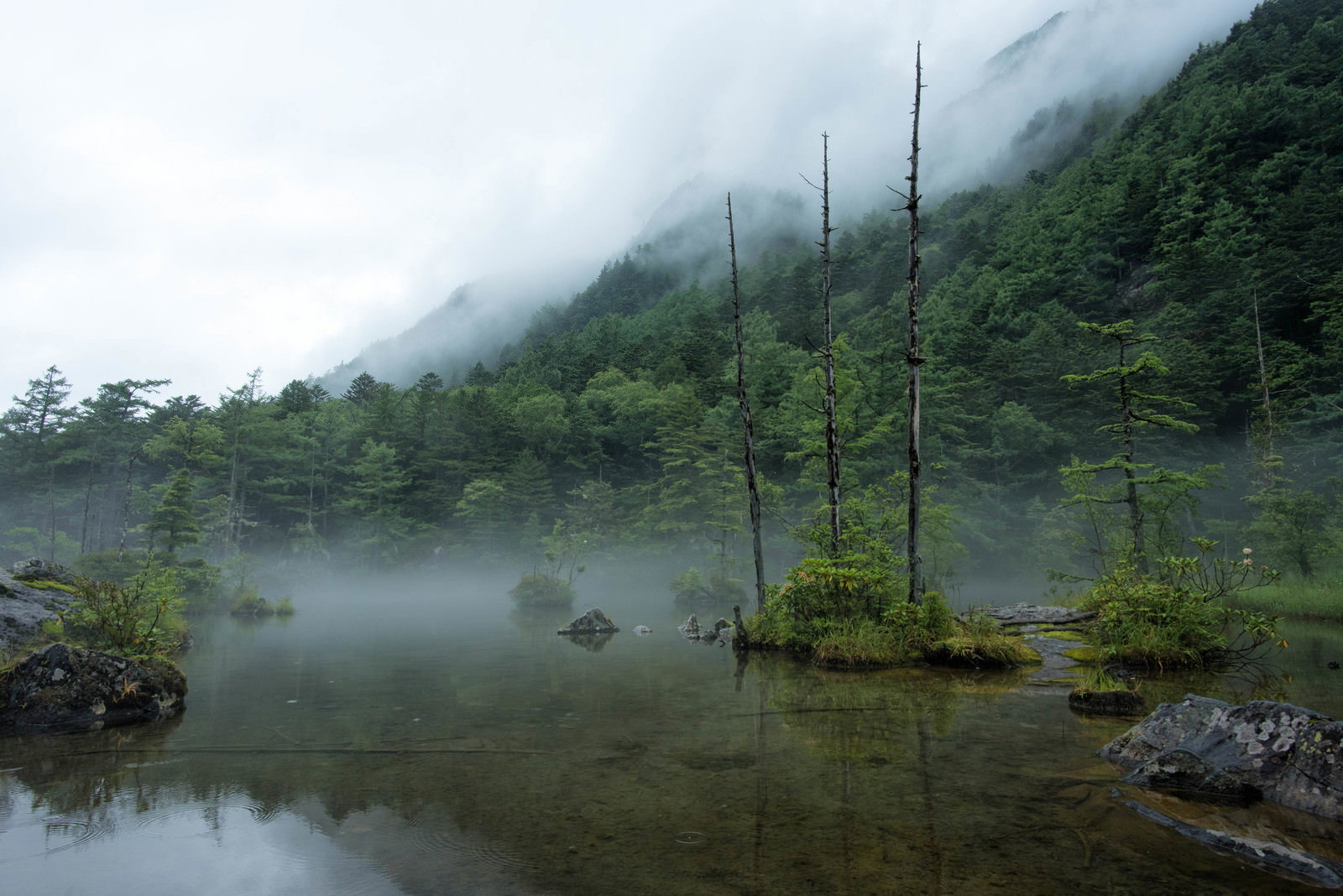 靄に覆われた上高地明神池の水面に森が映り込む風景