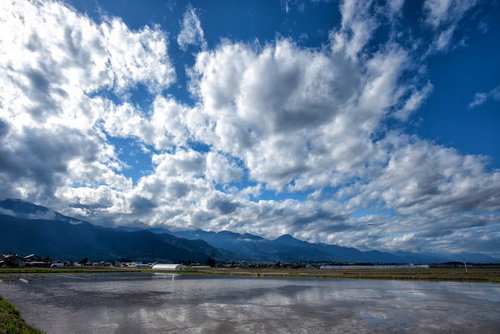 安曇野市の水田に映り込む青空と白い雲の水鏡風景